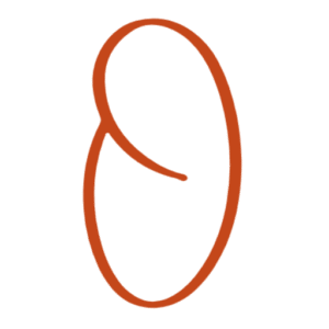ordrsAI logo fav